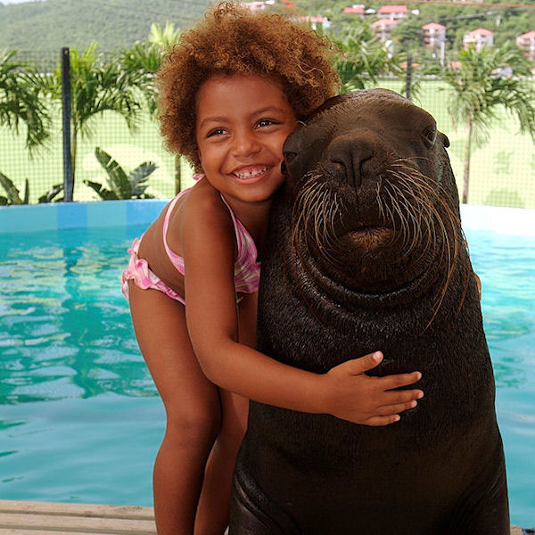 V.I. Swim With Sea Lions