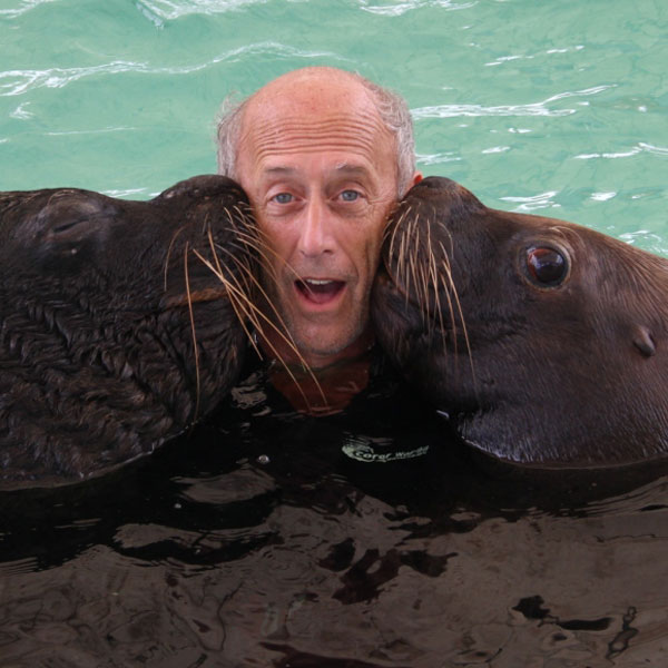 V.I. Swim With Sea Lions